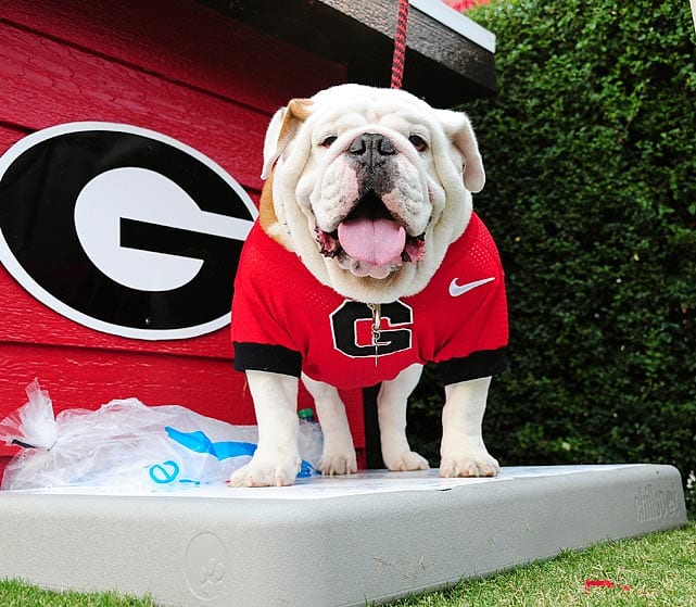 Uga